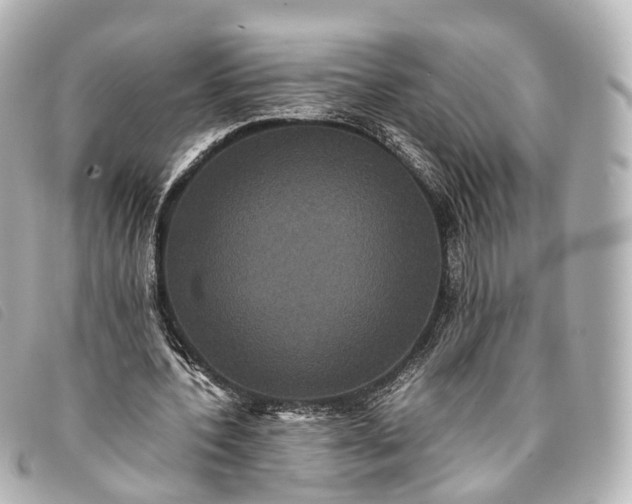 X0000093370532200710251156