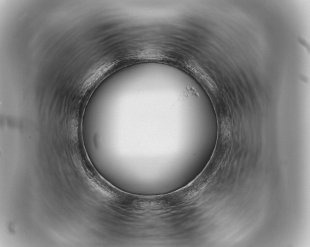 X0000093370533200710251156