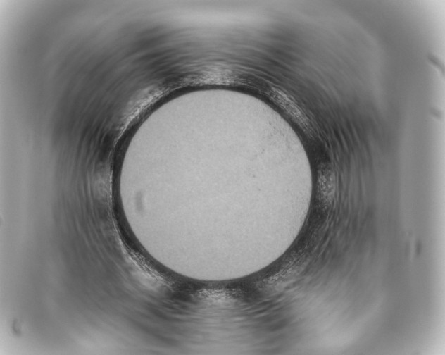 X0000093370534200710251156