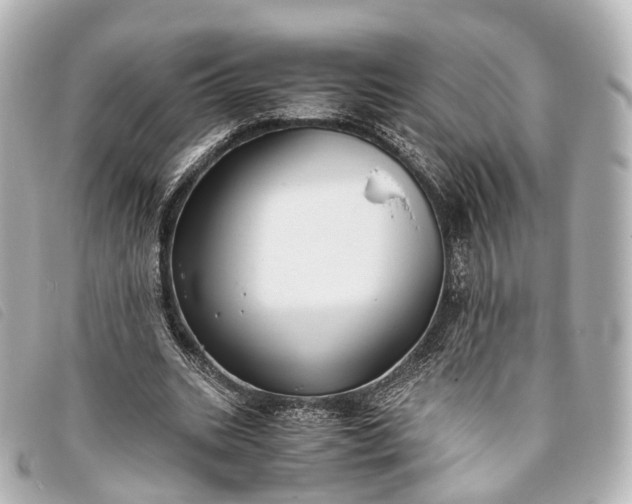 X0000093370535200710251156