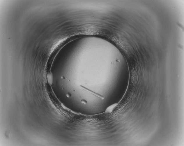 X0000093370536200710251156