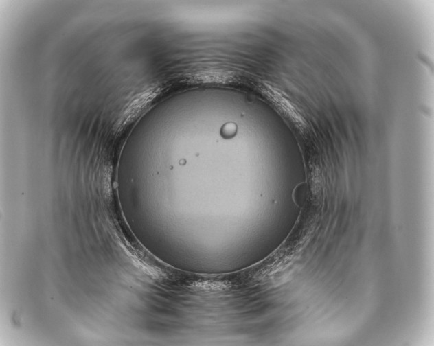 X0000093370537200710251156