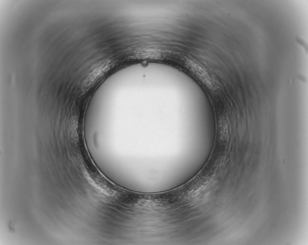 X0000093370538200710251156