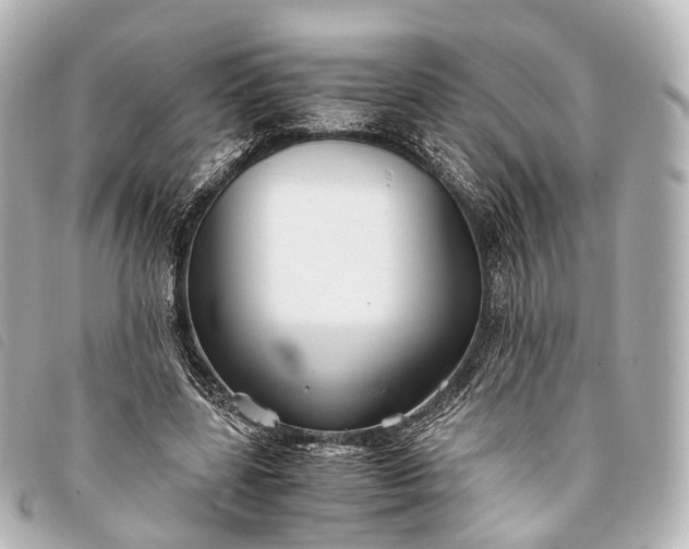 X0000093370539200710251156