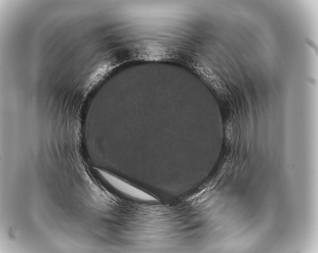 X0000093370540200710251156