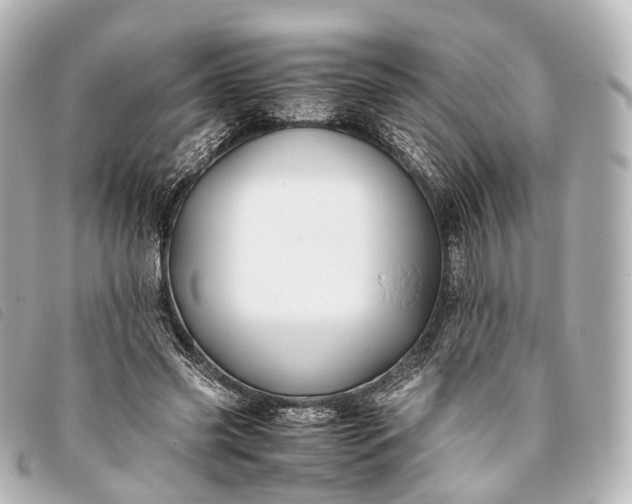 X0000093370541200710251156