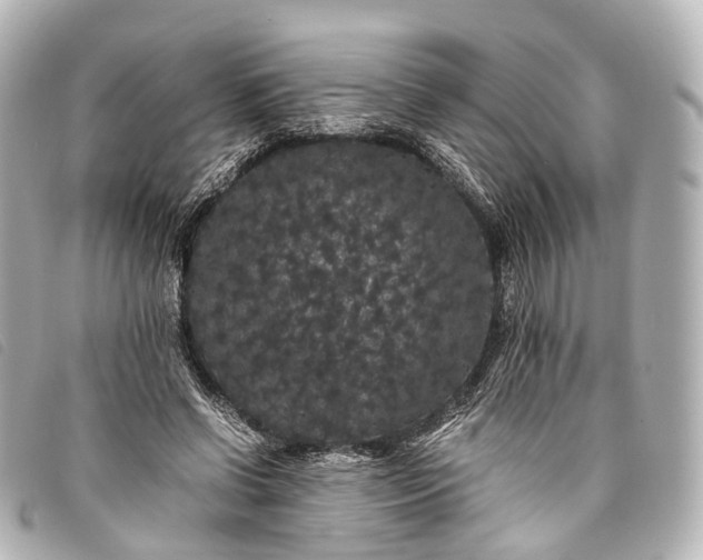 X0000093370542200710251156