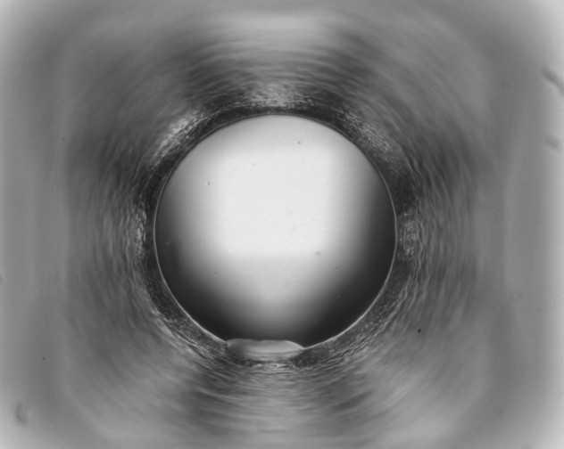 X0000093370544200710251156