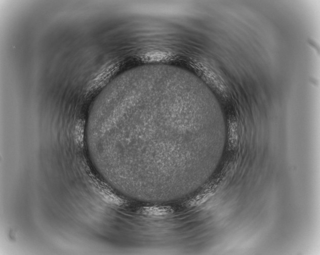 X0000093370545200710251156