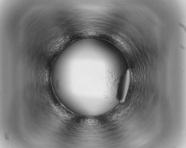 X0000093370546200710251156