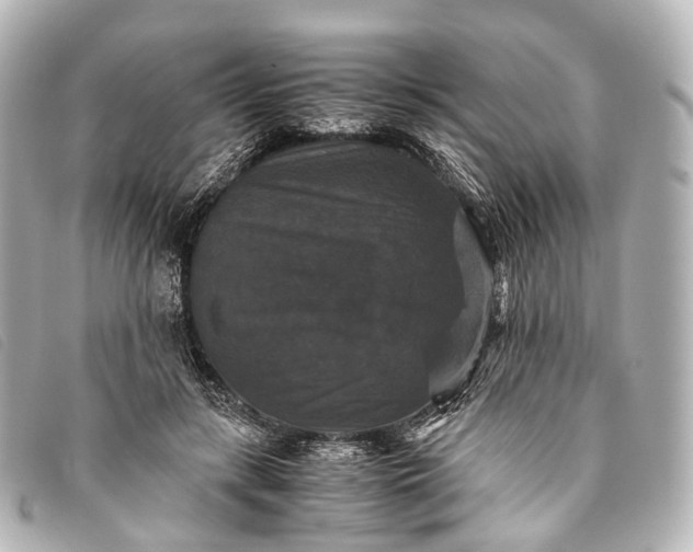 X0000093370547200710251156