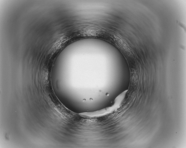 X0000093370548200710251156