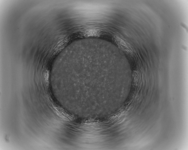 X0000093370550200710251156