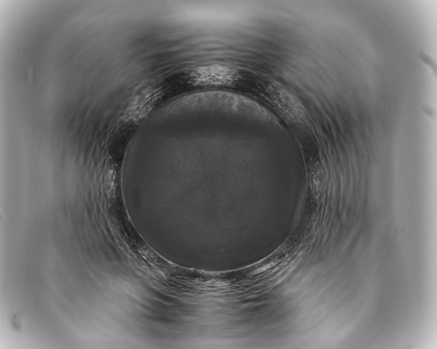 X0000093370551200710251156