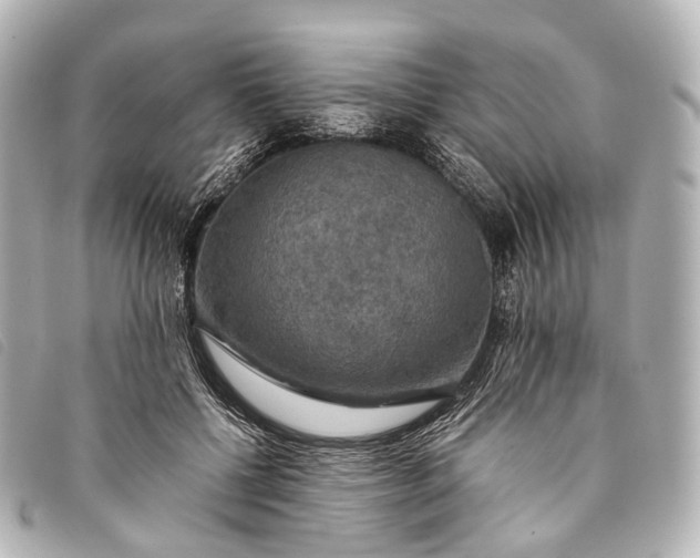 X0000093370552200710251156