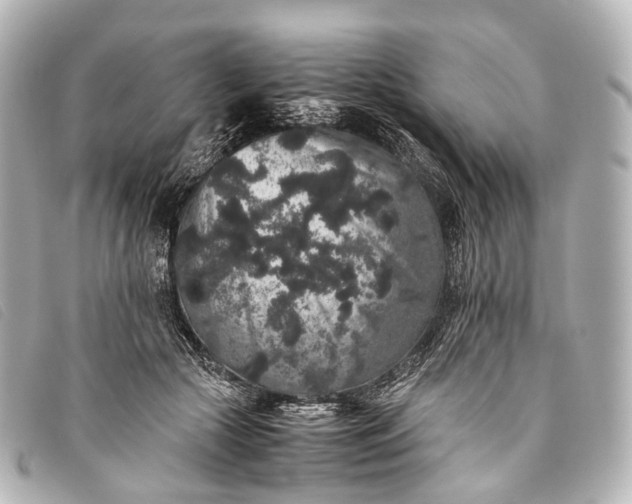 X0000093370553200710251156