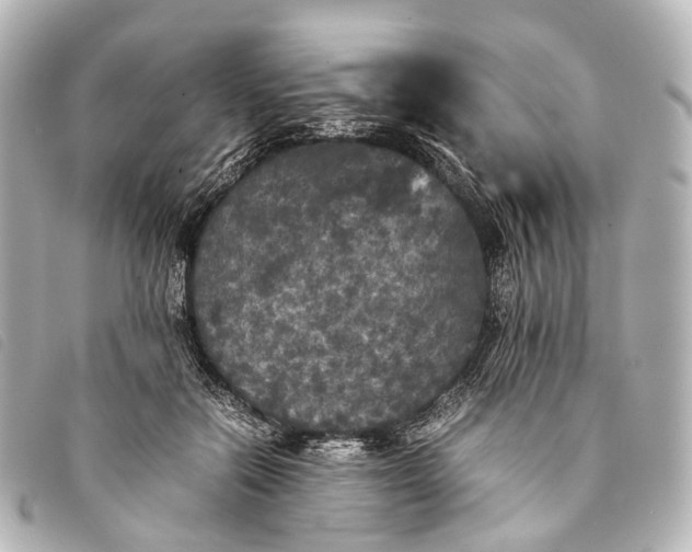 X0000093370554200710251156