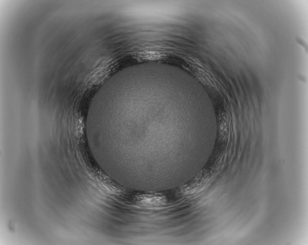 X0000093370555200710251156