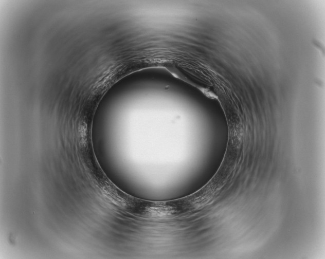 X0000093370556200710251156