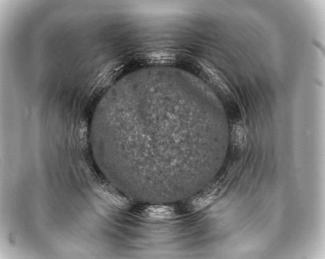 X0000093370557200710251156