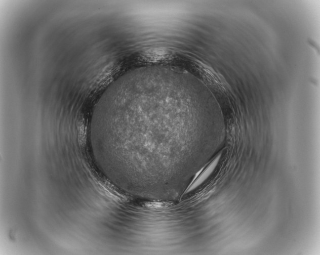 X0000093370558200710251156