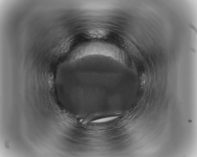 X0000093370559200710251156