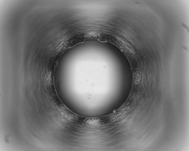 X0000093370560200710251156