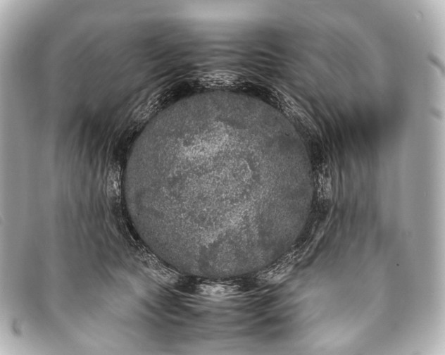 X0000093370561200710251156