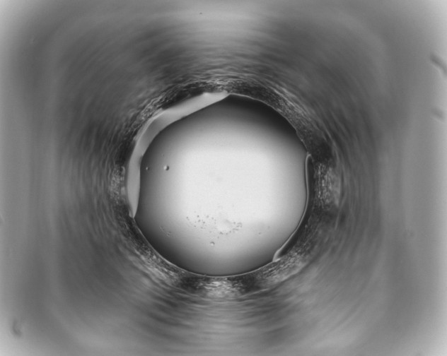 X0000093370562200710251156