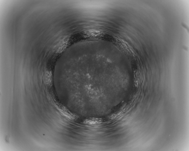 X0000093370563200710251156