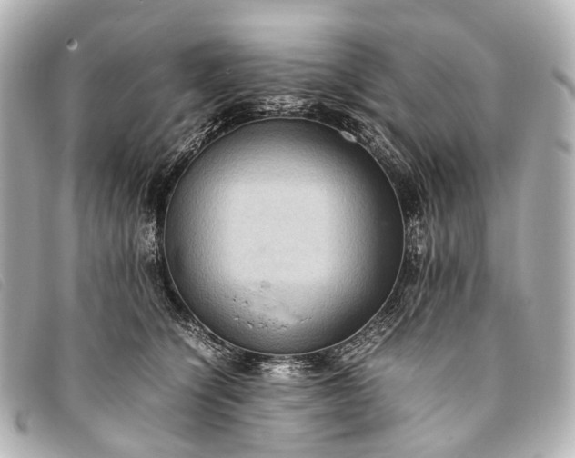 X0000093370564200710251156