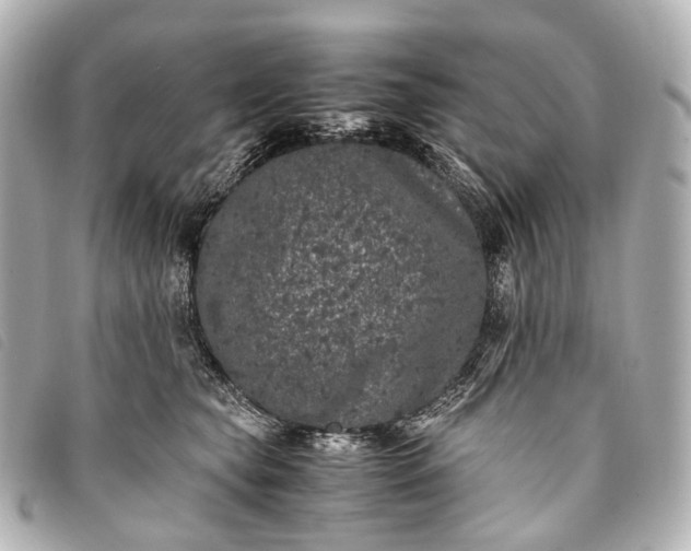 X0000093370565200710251156