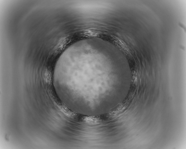 X0000093370568200710251156