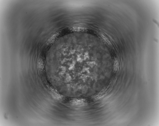 X0000093370569200710251156