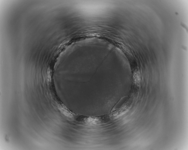 X0000093370570200710251156