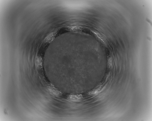 X0000093370571200710251156