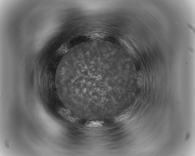 X0000093370573200710251156