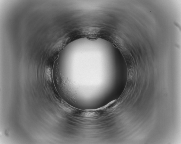 X0000093370575200710251156