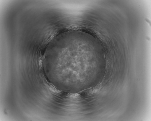 X0000093370576200710251156