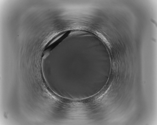 X0000093370577200710251156