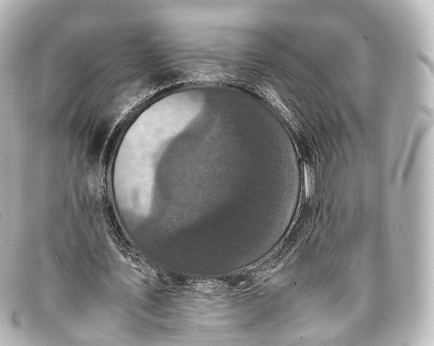 X0000093370579200710251156