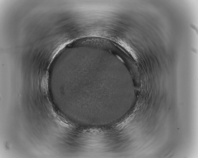 X0000093370580200710251156