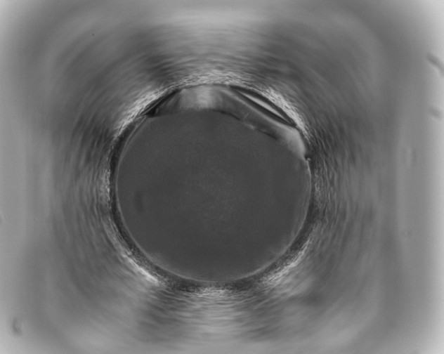 X0000093370581200710251156