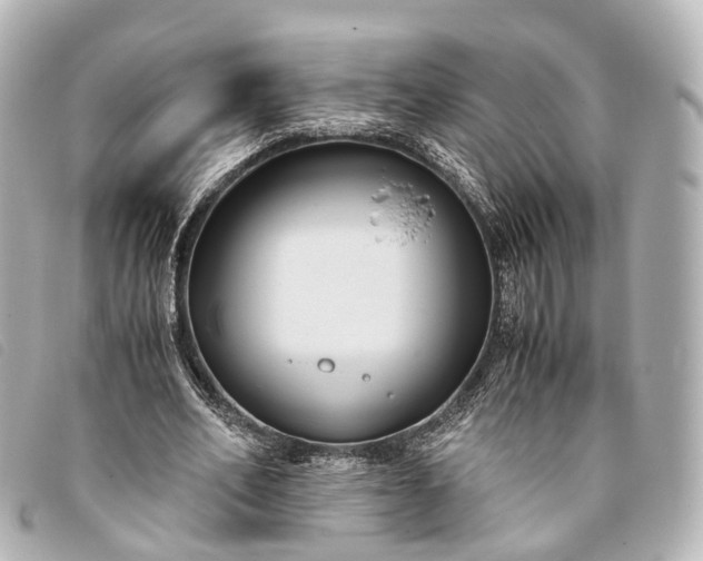 X0000093370582200710251155