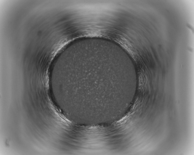 X0000093370584200710251155