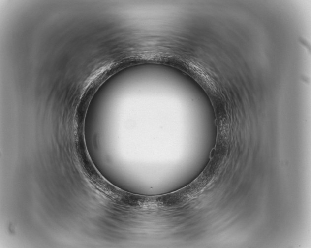 X0000093370587200710251155