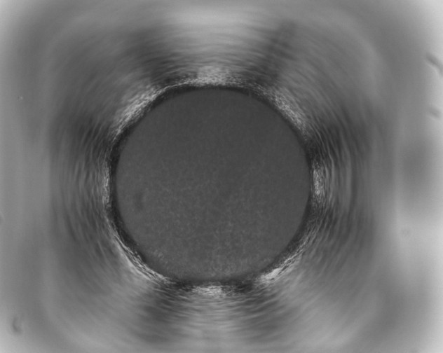 X0000093370588200710251155