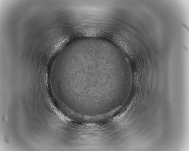 X0000093370589200710251155