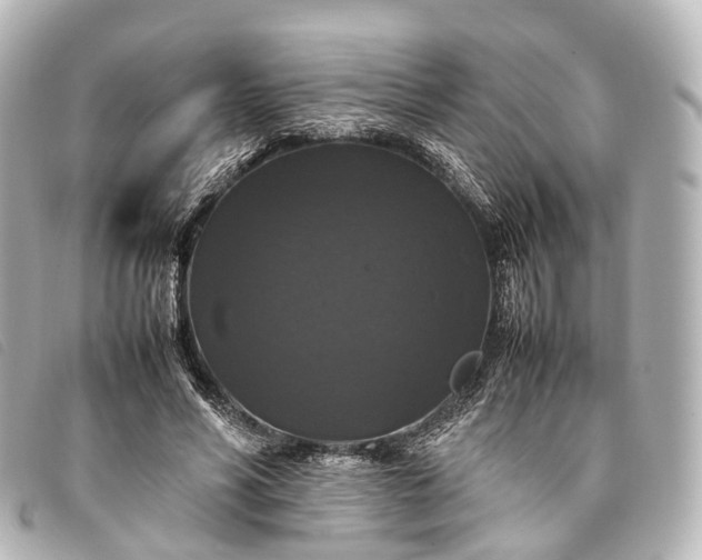 X0000093370590200710251155