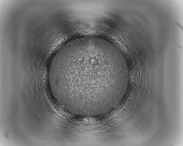 X0000093370591200710251155